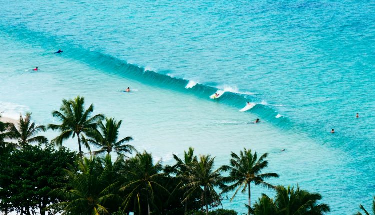 surfers in the caribbean