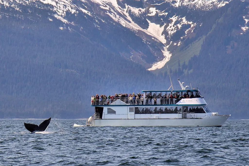1024px Alaska whale watching 2011