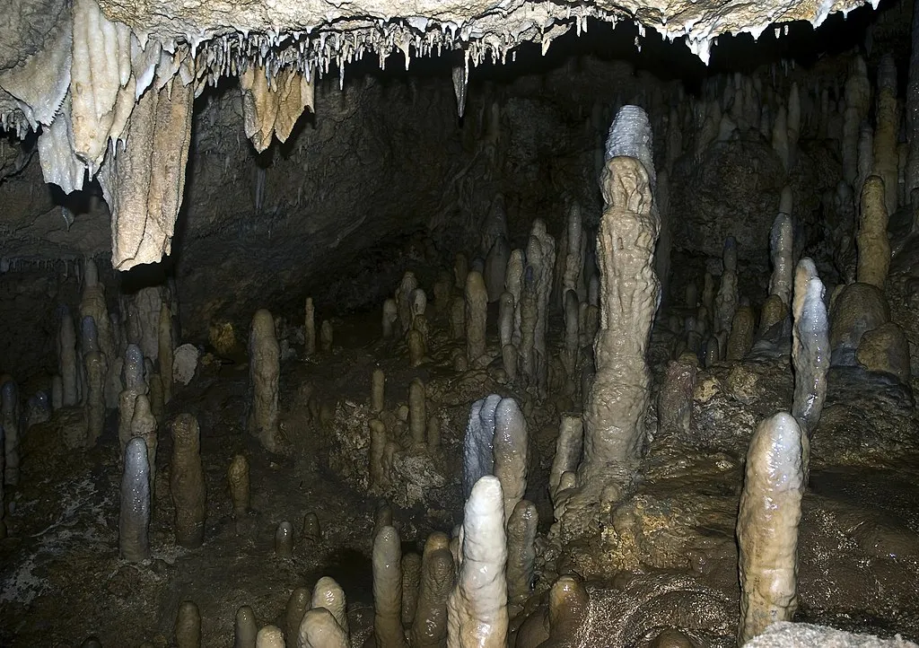 1024px Harrisons Cave 6975342587