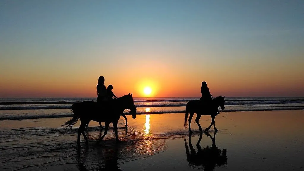 1024px Horse ride on the beach at dusk Unsplash