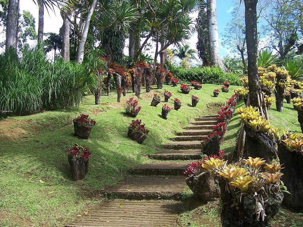 1024px Jardin de Balata 2