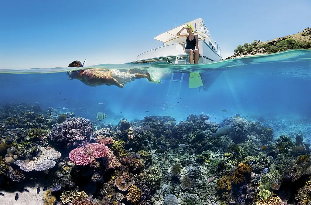 1024px Reef Snorkelling on the Great Barrier Reef
