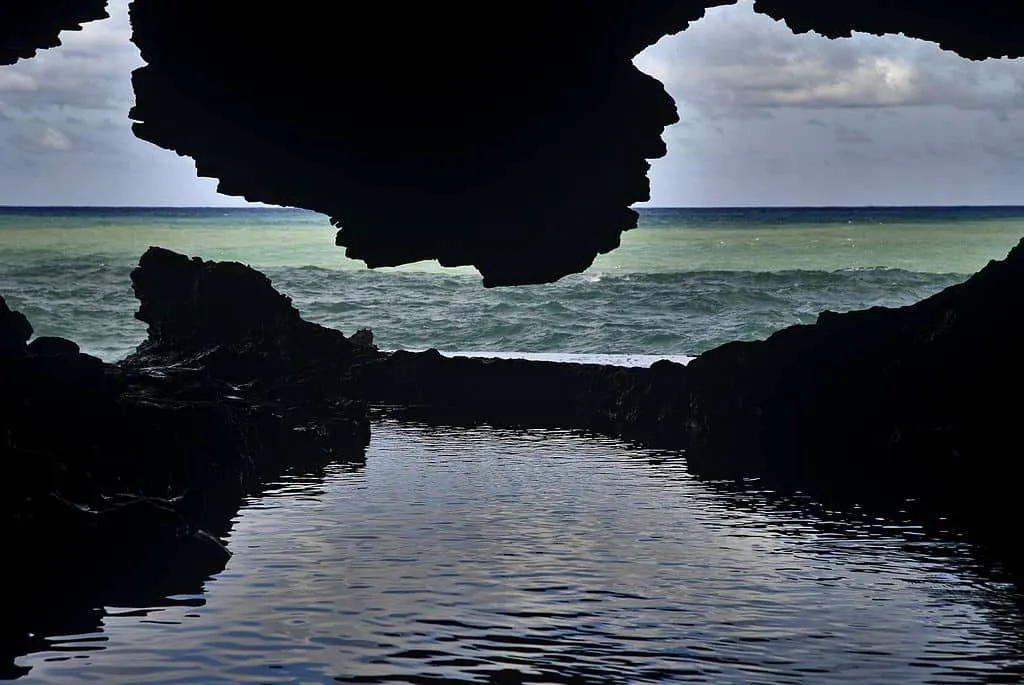1024px The Animal Flower Cave Barbados 6940537217