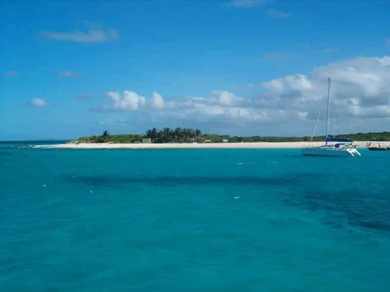 Anguilla Prickly Pear