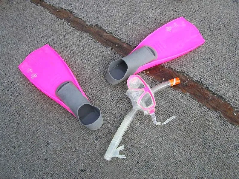 Snorkel Gear