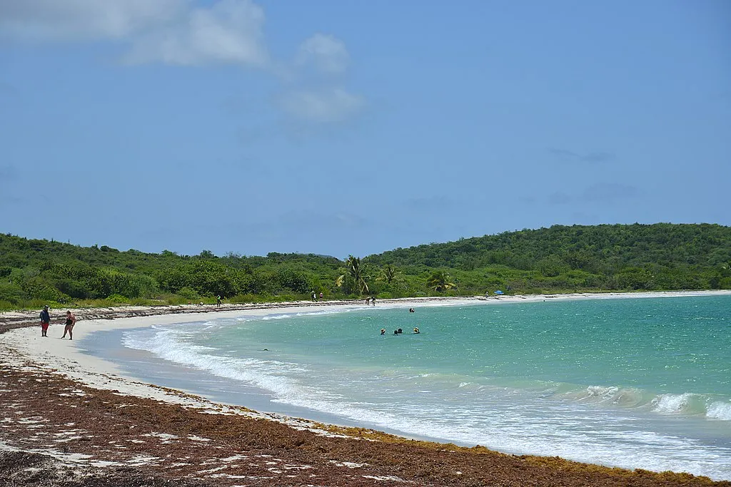 1024px Playa La Chiva Vieques Puerto Rico 2021 08 05 12 11 26 1