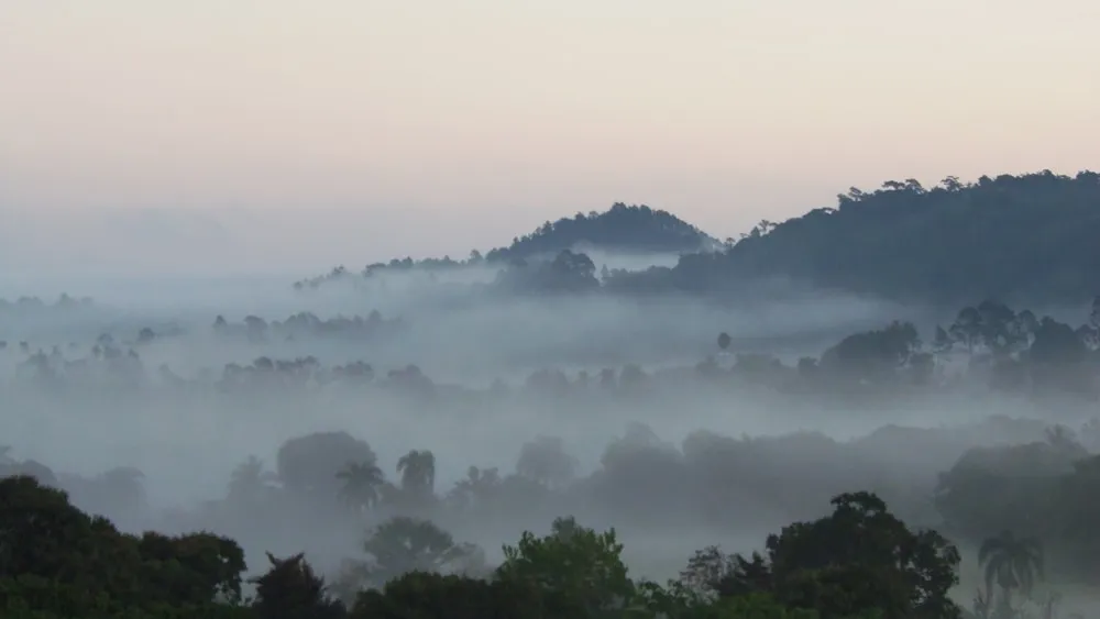 Morning Fog in Jarabacoa panoramio