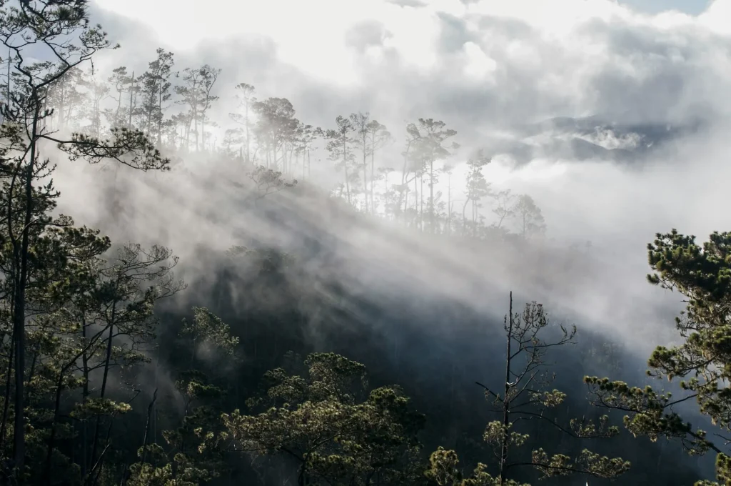 Pico Duarte unsplash