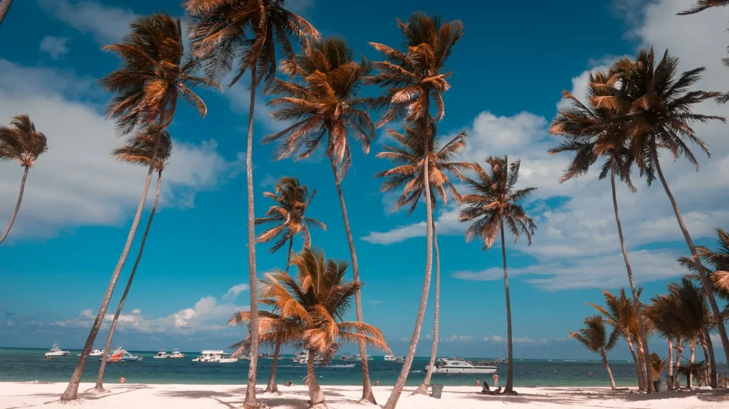 bavaro beach punta cana