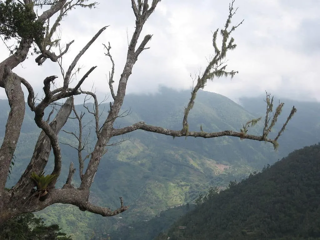 1024px Blue Mountains Jamaica