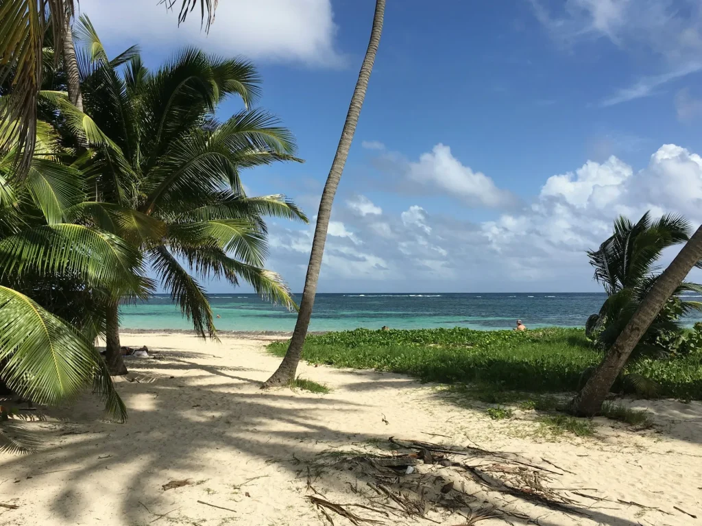 Anse Michel Martinique unsplash