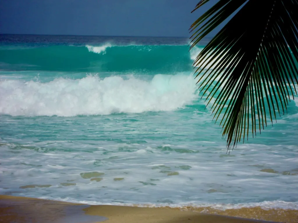 The Soup Bowl surf break in Bathsheba, Barbados