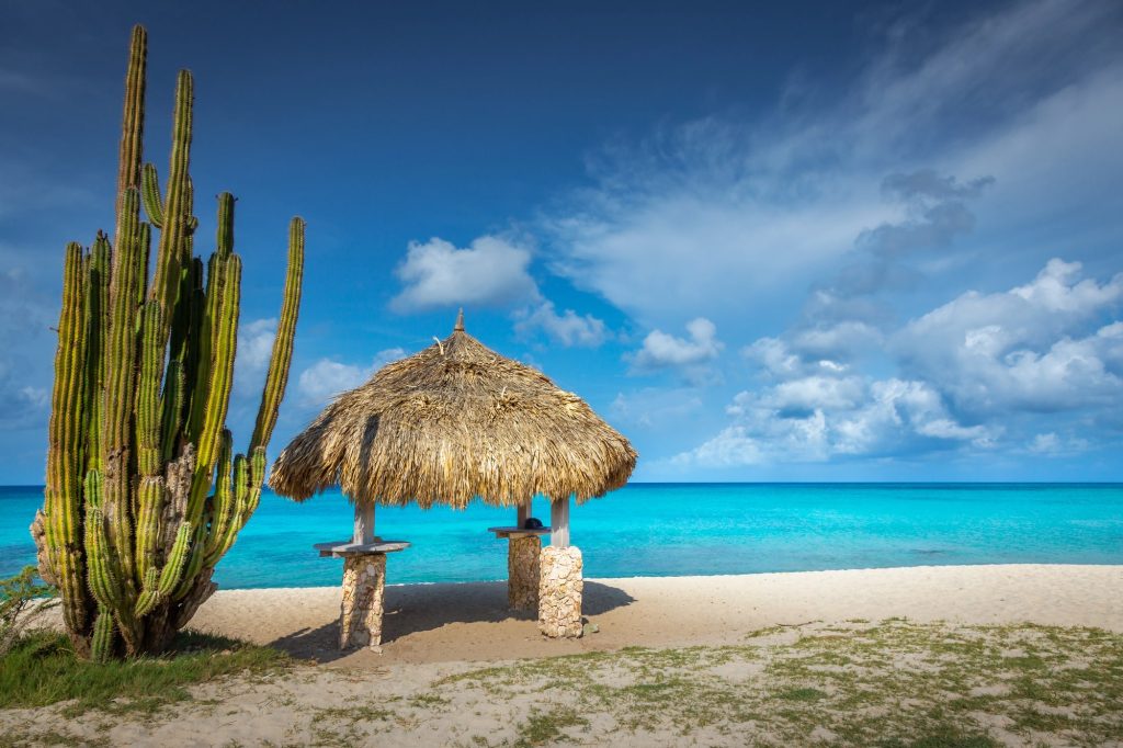 arashi beach aruba palapa