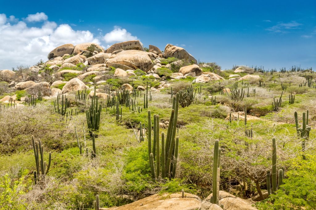 arikok national park aruba