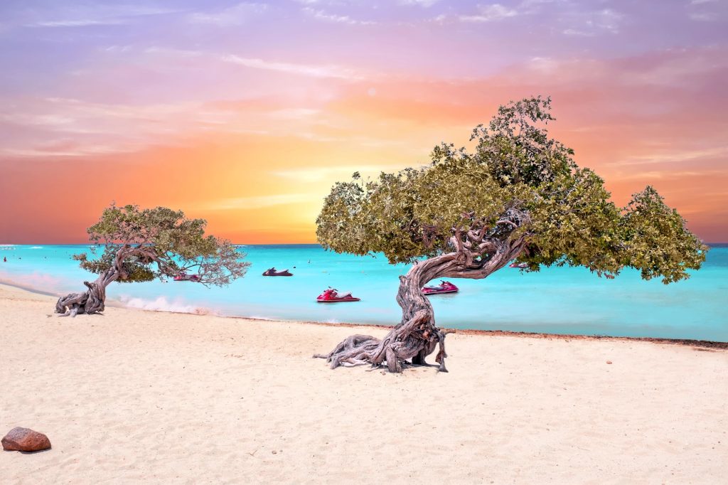 sunset at eagle beach aruba