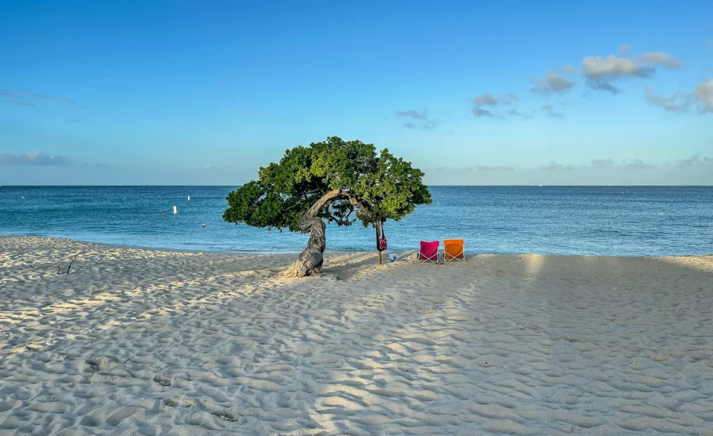 sunset eagle beach Aruba